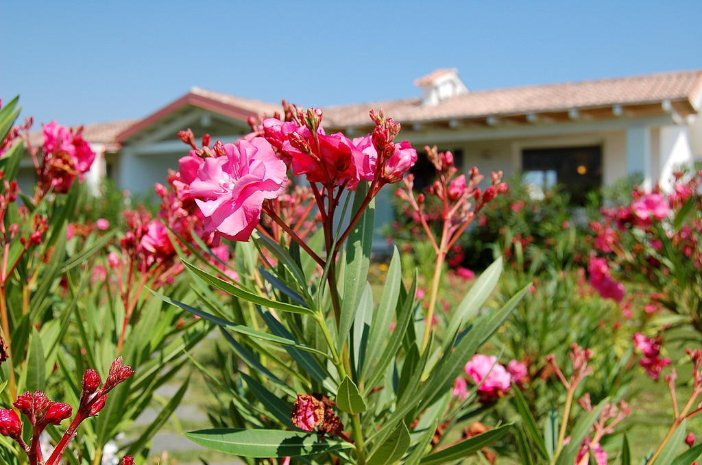 Hotel Budoni Beach Exterior photo